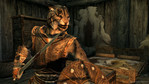 Kadr z gry "The Elder Scrolls V: Skyrim"