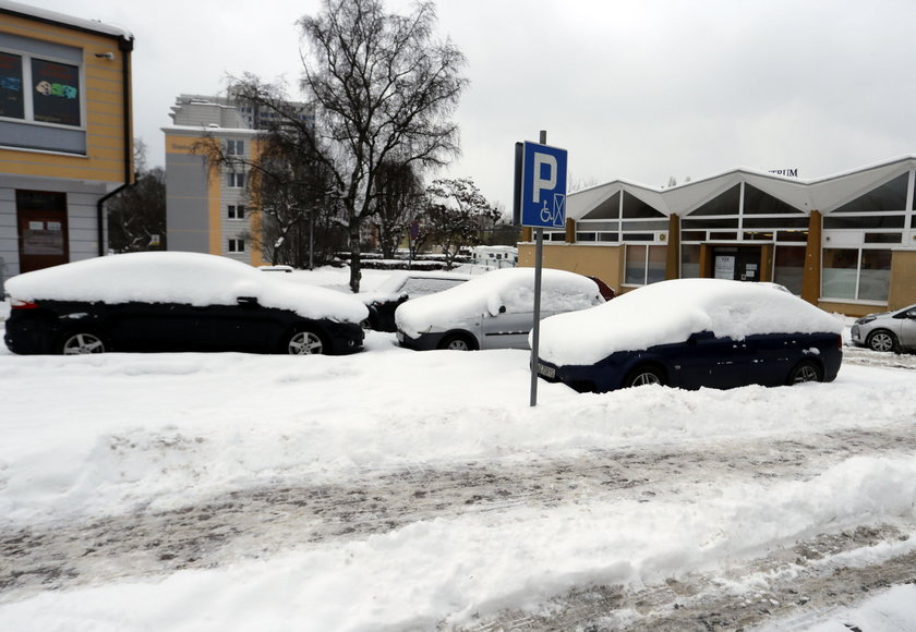 Zima w Gdańsku.