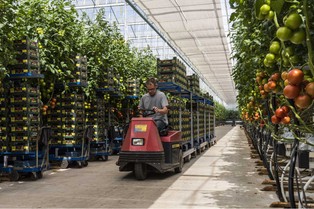 Bezrobocie w Hiszpanii sięga 3 mln. Mimo to na rynku brakuje rąk do pracy