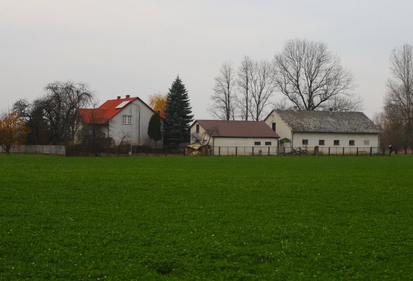 Dawid urządził krwawą rzeź. Babcię związał, zwłoki ojca spalił w lesie