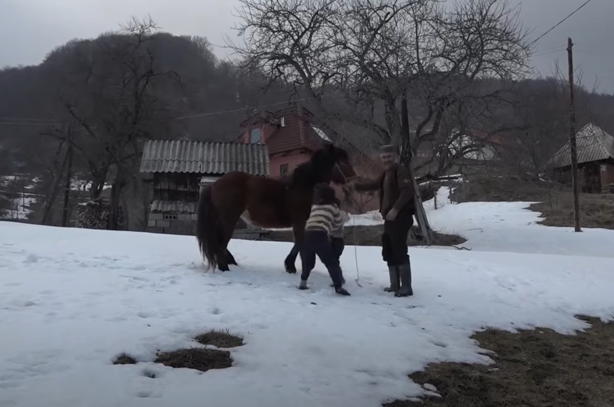 Žive sami na planini