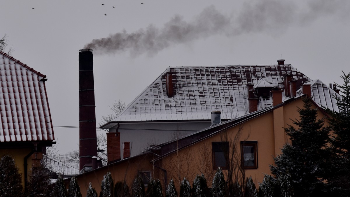 Skała k. Krakowa SMOG