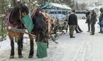 Konie górali dostaną karty pracy