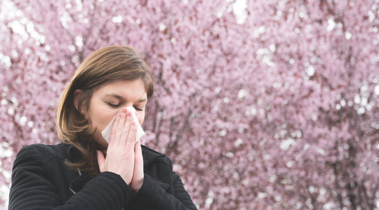 Ezek a legjobb módszerek allergia ellen Fotó: Kiskegyed