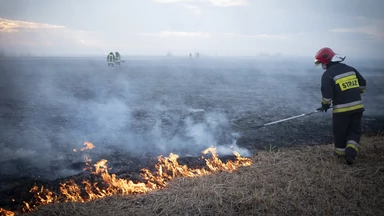 Pożar Biebrzańskiego Parku Narodowego: 10 tys. nagrody za wskazanie podpalacza