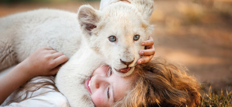 Nowości filmowe: "Mia i biały lew" i inne premiery kinowe tygodnia
