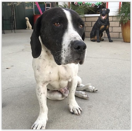 Tak mieszka Joanna Krupa