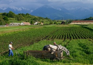 Zemljoradnik na njivi - ilustrcija