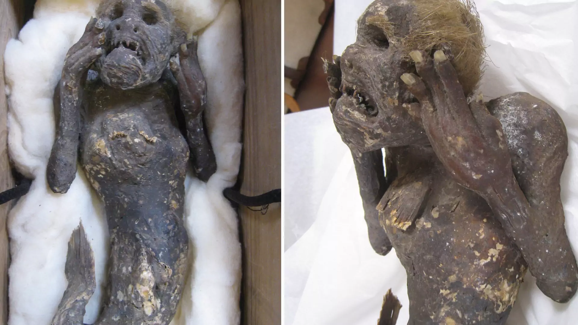 Odkryli sekret słynnej mumii "syreny". Już wiadomo, czy pochodzi z innego świata