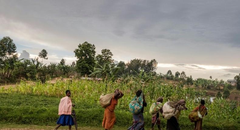 The North Kivu province of the Democratic Republic of Congo is a region that has been plagued by regular flare-ups of ethnic bloodshed