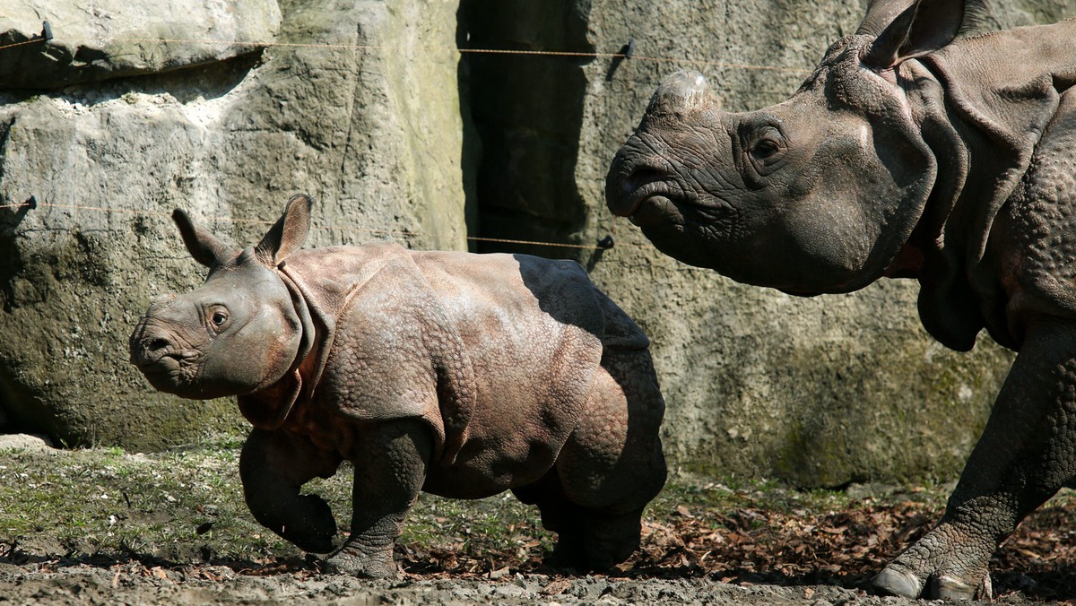 WARSZAWA ZOO PIERWSZE CIEPE DNI