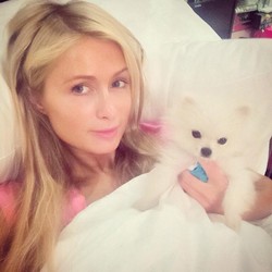 Paris Hilton pokazała syna. Posypały się niewybredne komentarze