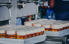 Koniec pysznego piwa? Naukowcy ostrzegają: zmiany klimatu uderzą w chmiel