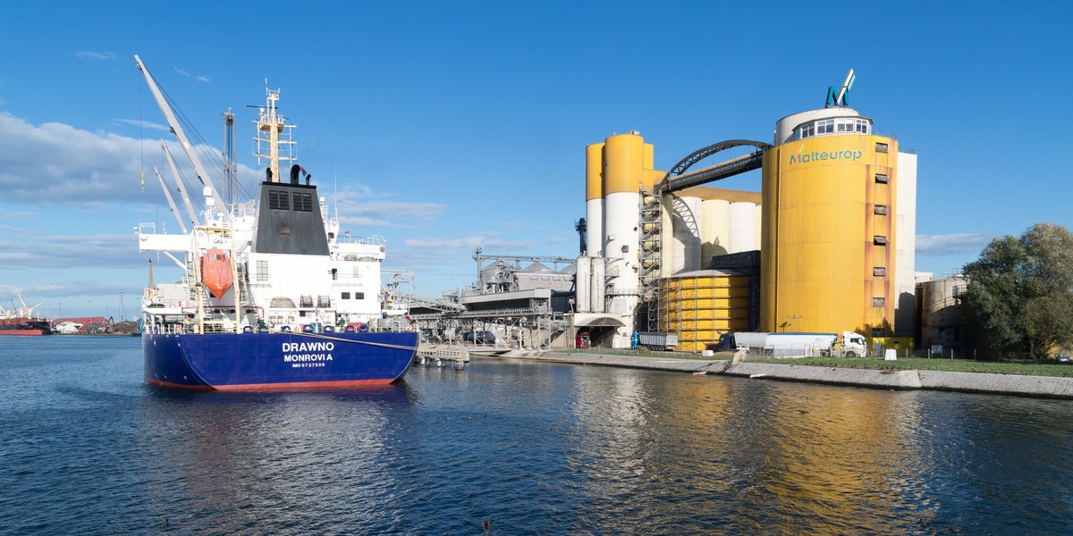 Gdański Terminal Masowy. Zdjęcie poglądowe.