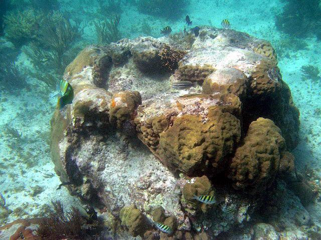 Galeria Meksyk - Riviera Maya, obrazek 35