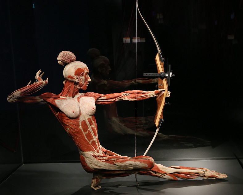 Gunther von Hagens otworzył w Berlinie "Muzeum Człowieka" ze spreparowanymi ciałami ludzkimi