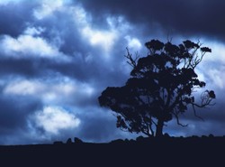 Huragan zaatakował Polskę. Duże zniszczenia