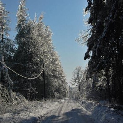 Zima 2010 w Truskolasach k. Częstochowy