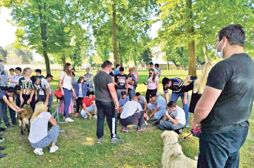 Od pre četiri godine u KPZ primenjuje se jedan od najboljih programa resocijalizacije, i to kroz obuku osuđenih lica uz pomoć pasa