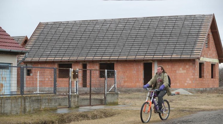 Június végével megszűnik a falusi csok  / Fotó: Varga Imre