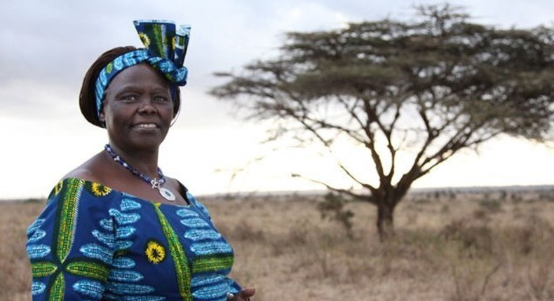 The late Professor Wangari Maathai, Nobel Laureate. Nakuru county will erect a statue at Nyayo Gardens in her honour