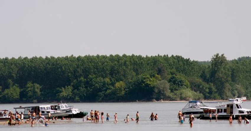 Voda kod Bele Stene na Dunavu je pogodna za kupače