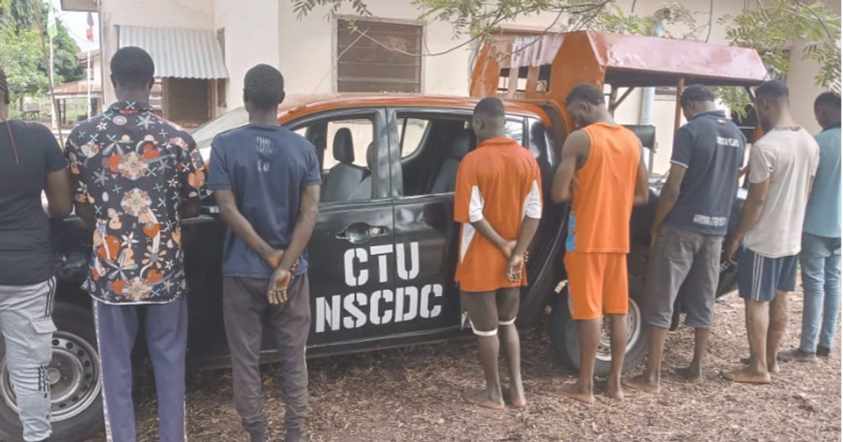 Ekiti NSCDC arrests 8 suspects for various alleged offences - Vimarsana News