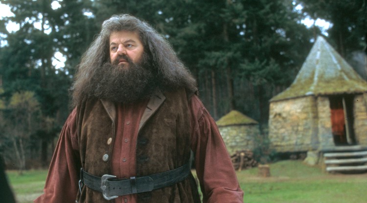 Hagrid, Robbie Coltrane