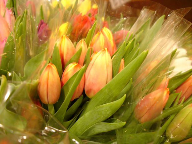 Firma, która zakupi upominki i kwiaty na Dzień Kobiet może ten wydatek zaliczyć w koszty podatkowe. fot. sxc.hu