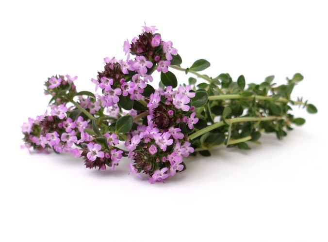 7. Preparaty ziołowe