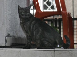 Jarosław Kaczyński w żałobie. Stracił jednego z najlepszych przyjaciół