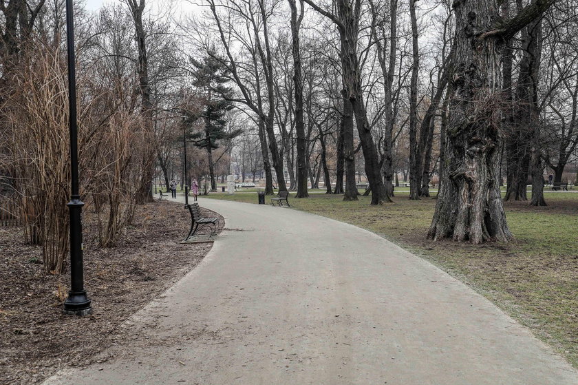 Błoto i piasek w Parku Krakowskim
