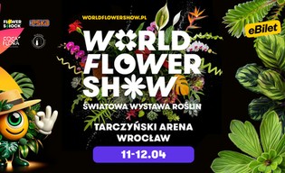 Świat kwiatów, kloców i karuzeli. Kwiecień na Tarczyński Arenie