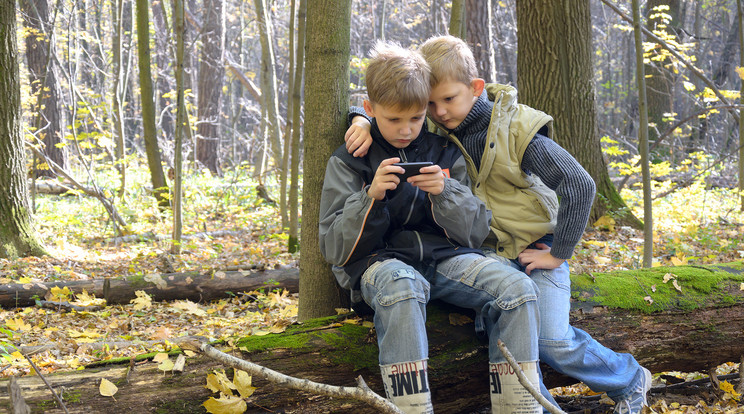 Az erdőben eltévedt szlovák gyerekek Magyarországon kötöttek ki / Illusztráció: Shutterstock