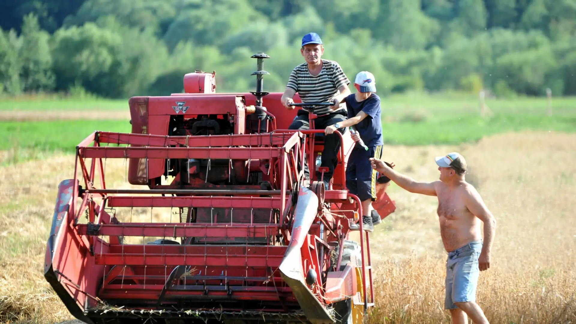 Lato dzieci na wsi. "Pracowaliśmy jak woły"