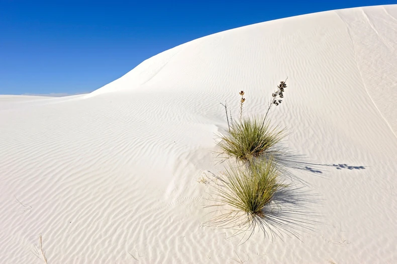 Smrtonosna pustinja u Nju Meksiku