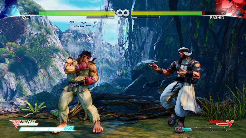 Street Fighter V