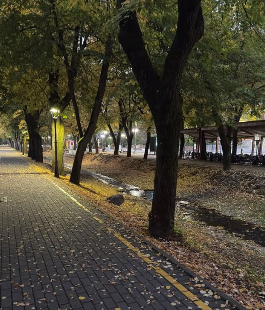 Dragana Mićalović, objava