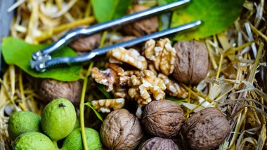 pilny komunikat gis. wykryto nielegalną substancję w orzechach z dino