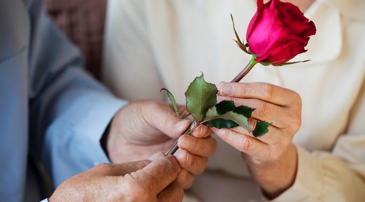 Adj egy második életet a rózsádnak Fotó: Getty Images