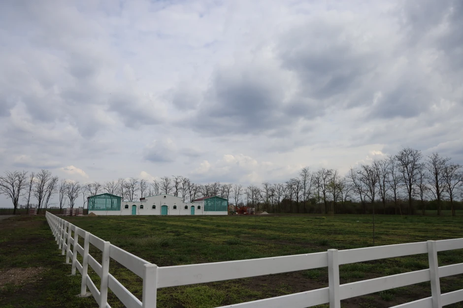 Branko Babić Ratkovo 