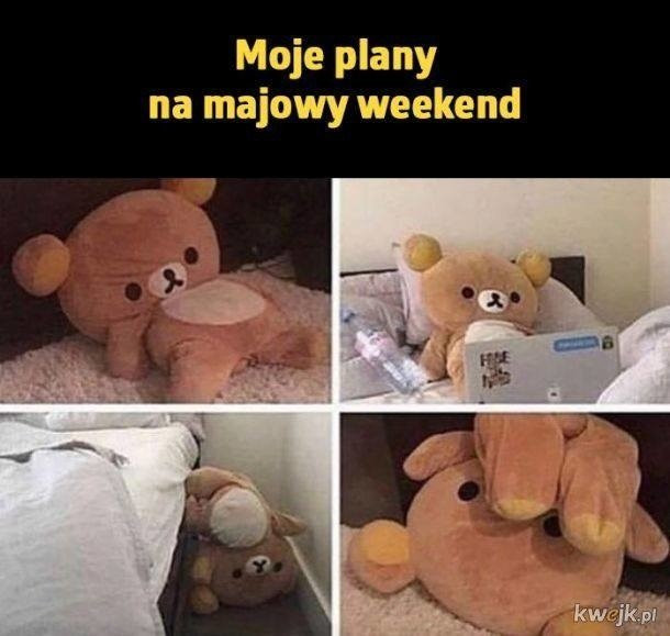 Memy na majówkę 2023