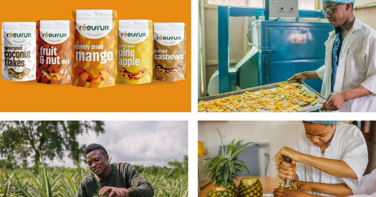 Nigerian whole fruit snack brand ReelFruit secures $3million in funding |  Business Insider Africa
