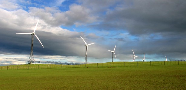 W ciągu roku podwoiła się liczba pozwoleń na przyłączenie farm wiatrowych do sieci