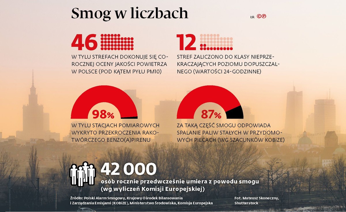 Smog w liczbach