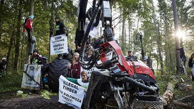 Sąd uniewinnił uczestników protestu w Puszczy Białowieskiej