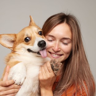 Hogyan alakítson ki vagy mélyítsen el erős kapcsolatot a kutyájával?