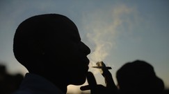 NDLEA boss Marwa says legalising marijauna in Nigeria is a debate of money vs life