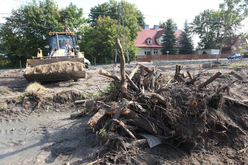 Park Oruński 