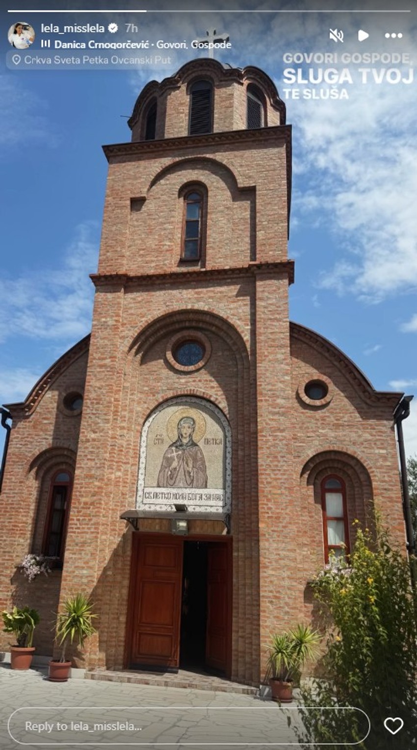Jelena Vasić, objava